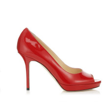 Pop Fashion High Heeled Pointy Toe Ladies Shoes (Y 94)